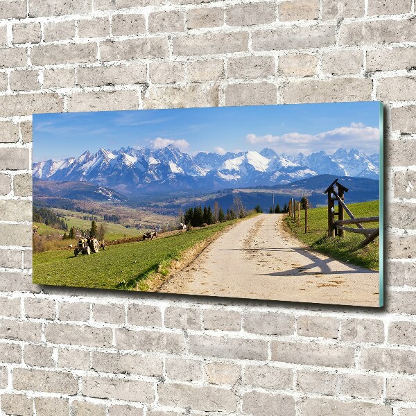 Quadro su vetro Panorama dei Monti Tatra