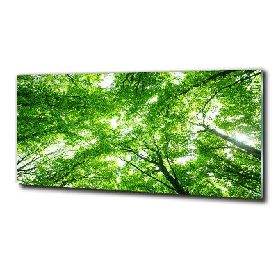 Quadro vetro Foresta verde