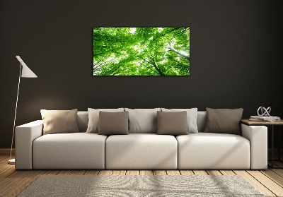 Quadro vetro Foresta verde