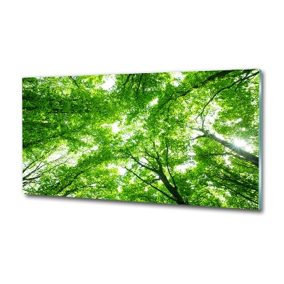 Quadro vetro Foresta verde