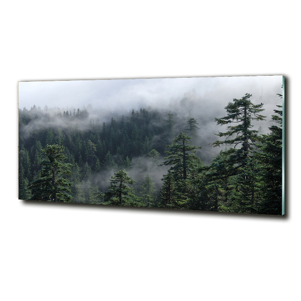 Quadro su vetro Nebbia forestale