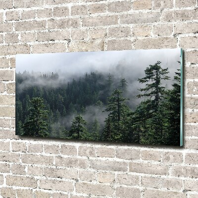 Quadro su vetro Nebbia forestale