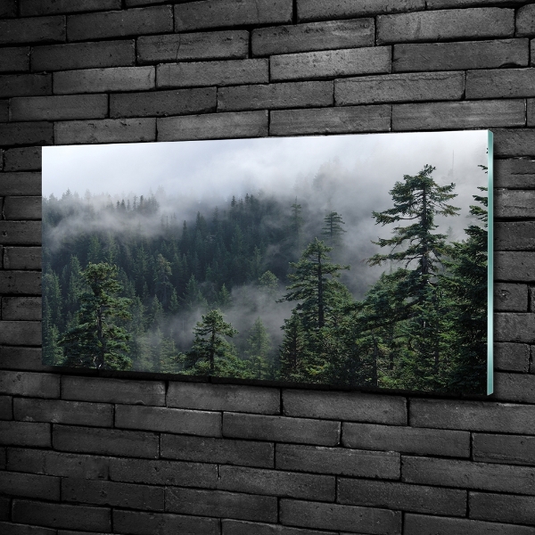 Quadro su vetro Nebbia forestale