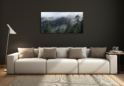 Quadro su vetro Nebbia forestale