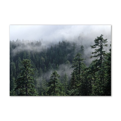 Quadro su vetro Nebbia forestale