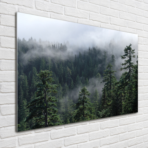 Quadro su vetro Nebbia forestale