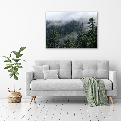 Quadro su vetro Nebbia forestale