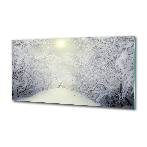 Quadro vetro Una foresta meravigliosa in inverno