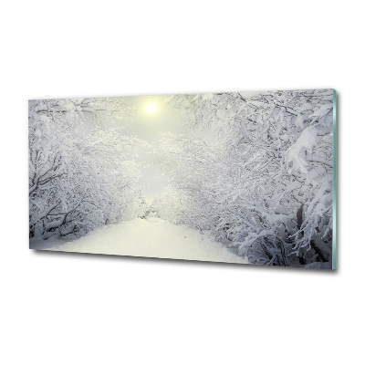 Quadro vetro Una foresta meravigliosa in inverno