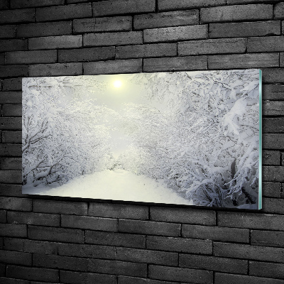 Quadro vetro Una foresta meravigliosa in inverno