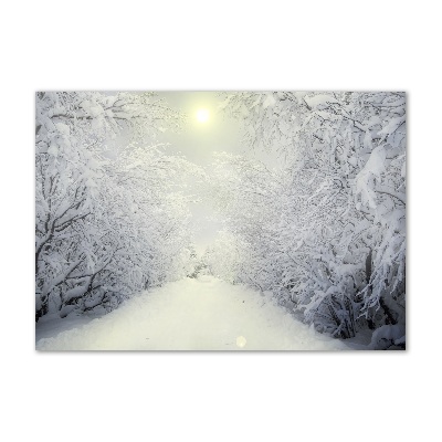 Quadro vetro Una foresta meravigliosa in inverno