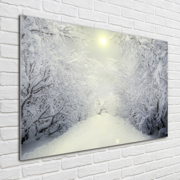 Quadro vetro Una foresta meravigliosa in inverno