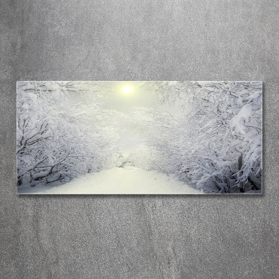 Quadro vetro Una foresta meravigliosa in inverno