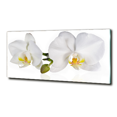 Quadro in vetro Orchidea