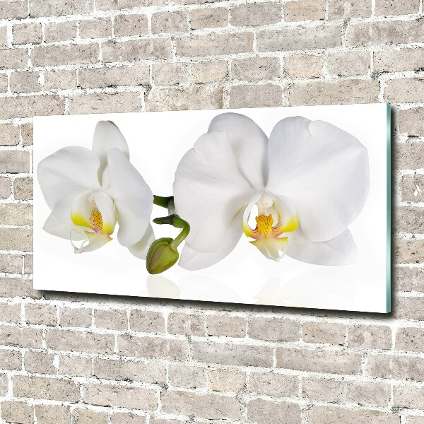 Quadro in vetro Orchidea