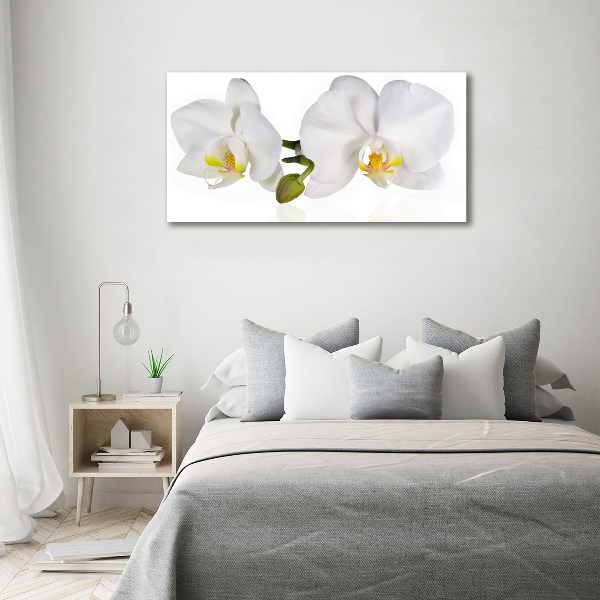 Quadro in vetro Orchidea