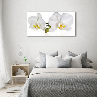Quadro in vetro Orchidea