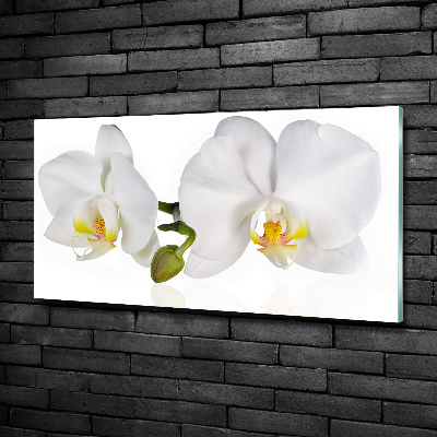 Quadro in vetro Orchidea