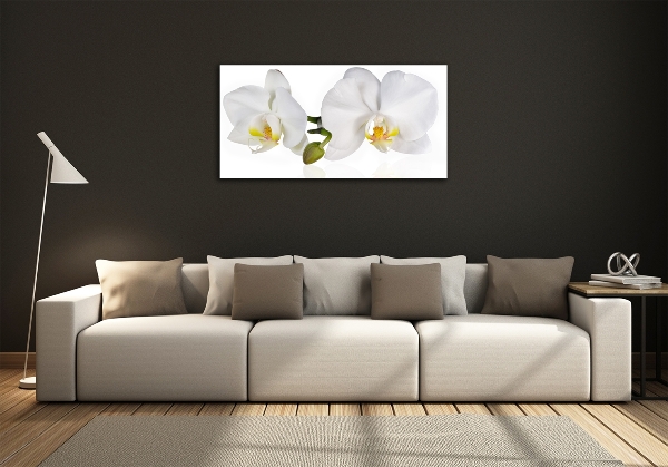 Quadro in vetro Orchidea