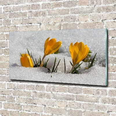 Quadro in verde Crochi nella neve