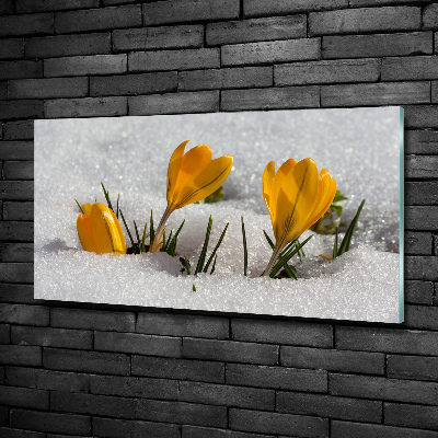 Quadro in verde Crochi nella neve