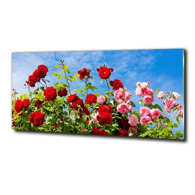 Quadro su vetro Rose selvatiche