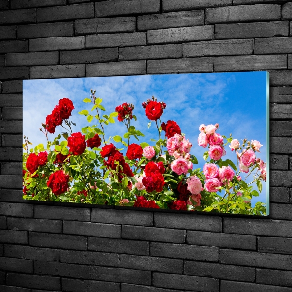 Quadro su vetro Rose selvatiche
