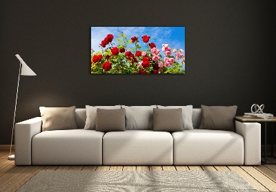 Quadro su vetro Rose selvatiche