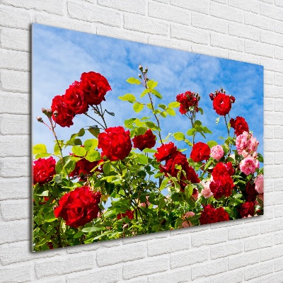 Quadro su vetro Rose selvatiche