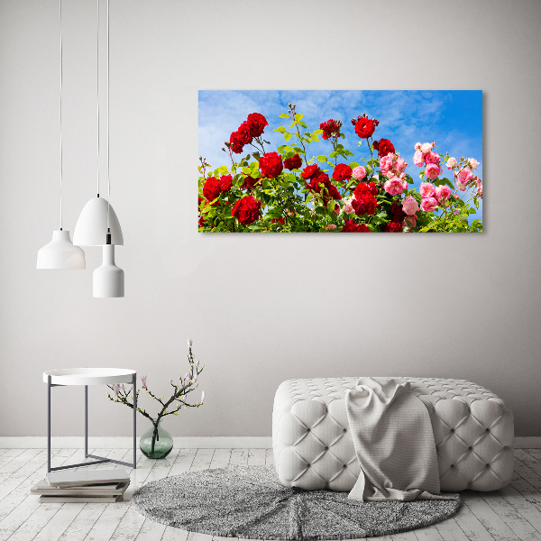 Quadro su vetro Rose selvatiche