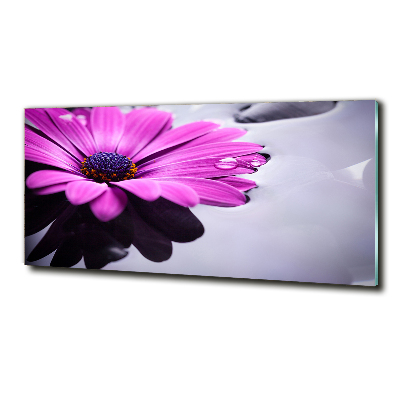 Quadro vetro Gerbera