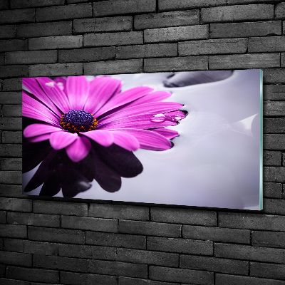 Quadro vetro Gerbera