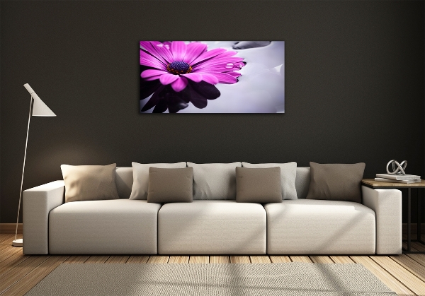 Quadro vetro Gerbera