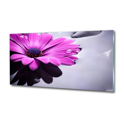 Quadro vetro Gerbera