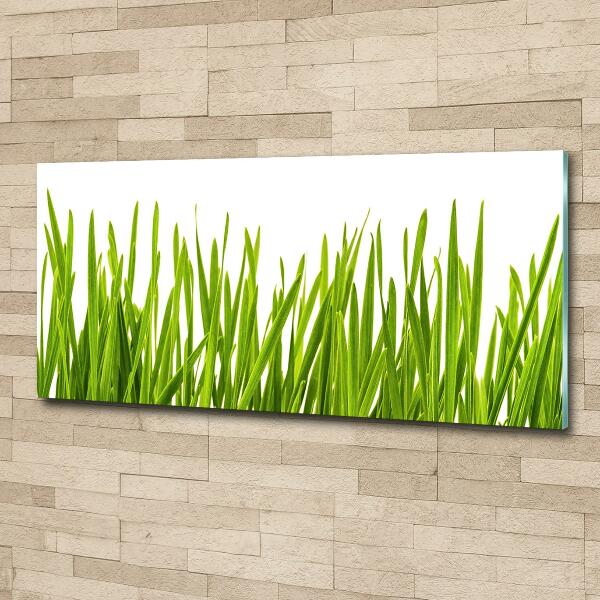 Quadro in verde Erba