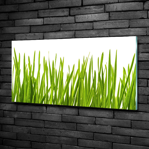 Quadro in verde Erba