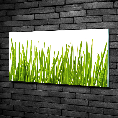 Quadro in verde Erba