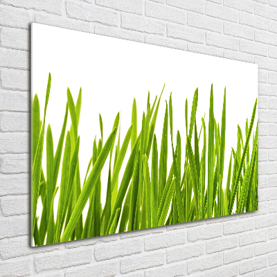 Quadro in verde Erba