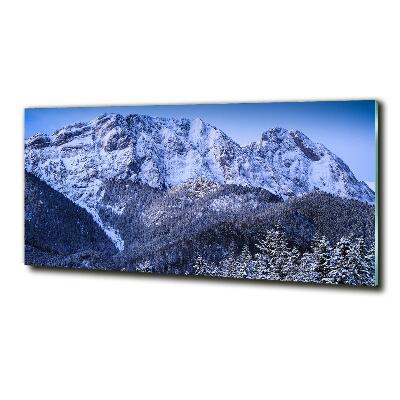 Quadro in verde Giewont, Monti Tatra