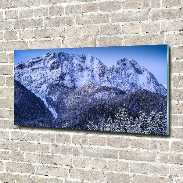 Quadro in verde Giewont, Monti Tatra