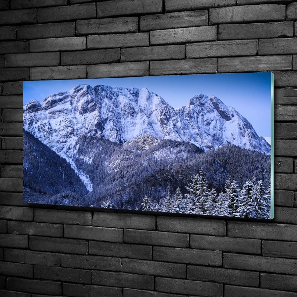 Quadro in verde Giewont, Monti Tatra