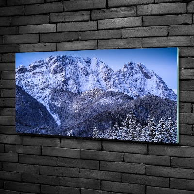 Quadro in verde Giewont, Monti Tatra