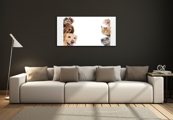 Quadro in verde Cani e gatti