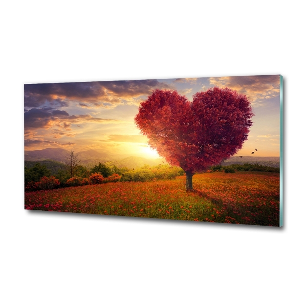 Quadro vetro Cuore di campo dell'albero