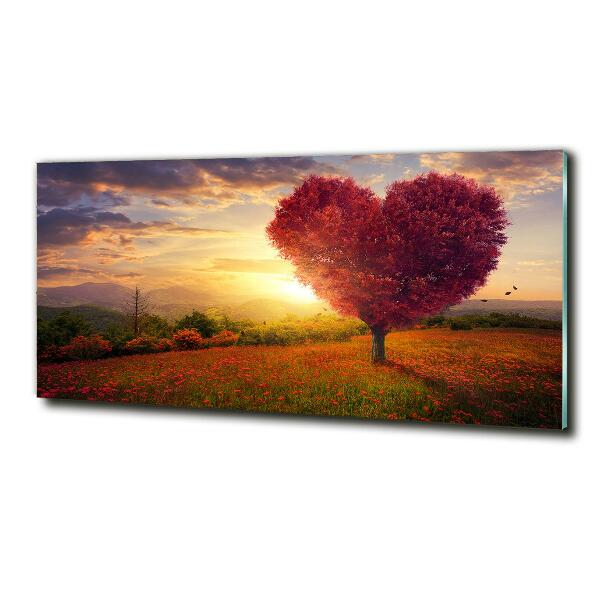 Quadro vetro Cuore di campo dell'albero