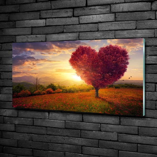 Quadro vetro Cuore di campo dell'albero