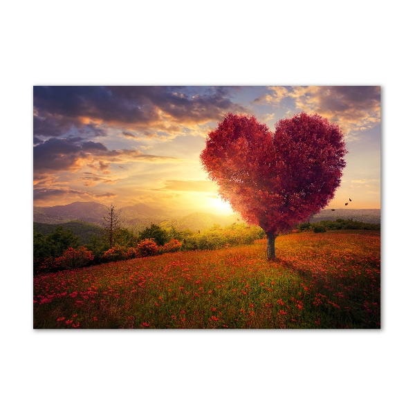Quadro vetro Cuore di campo dell'albero