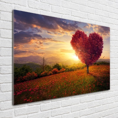Quadro vetro Cuore di campo dell'albero