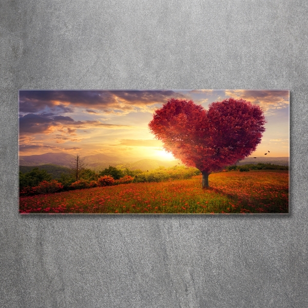 Quadro vetro Cuore di campo dell'albero