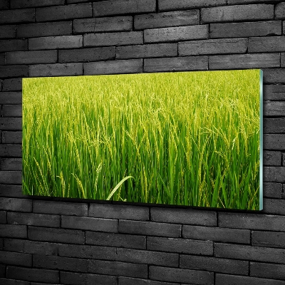 Quadro su vetro Risaia